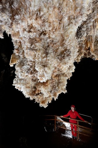 Grotte de Limousis (Aude) - Le lustre couvert de concrétions d'aragonites (vue d'ensemble avec personnage en bas à droite)(SP-21-0812)